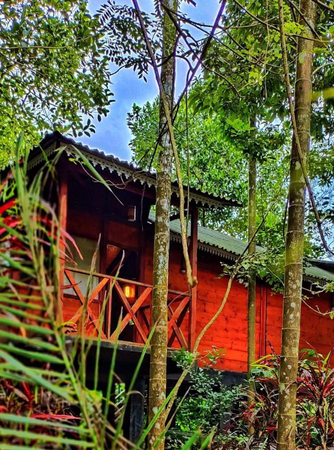 Wooden Cottages Glen Wayanad Meppādi Zewnętrze zdjęcie