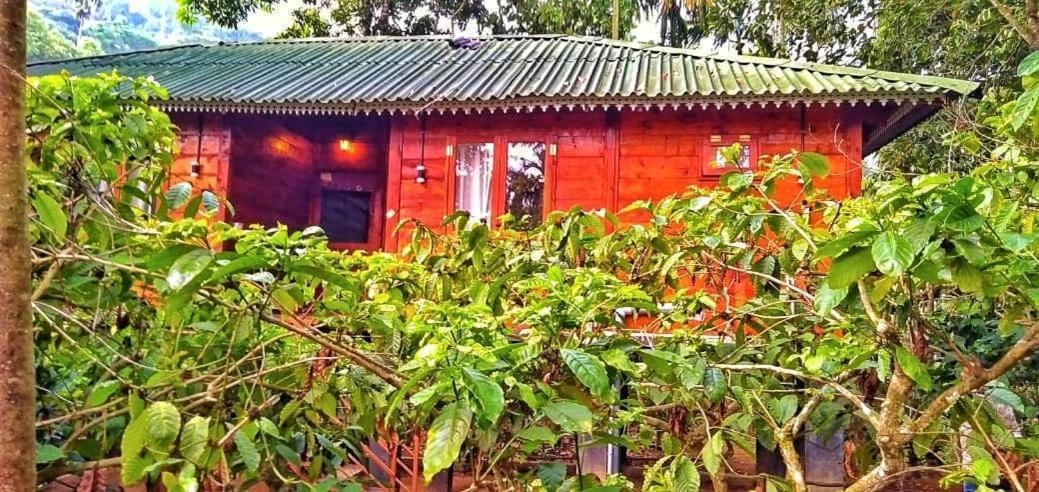 Wooden Cottages Glen Wayanad Meppādi Zewnętrze zdjęcie