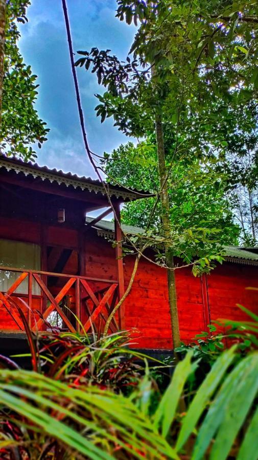Wooden Cottages Glen Wayanad Meppādi Zewnętrze zdjęcie