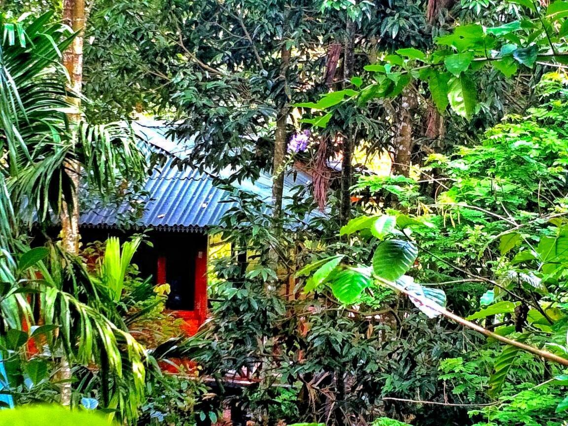 Wooden Cottages Glen Wayanad Meppādi Zewnętrze zdjęcie