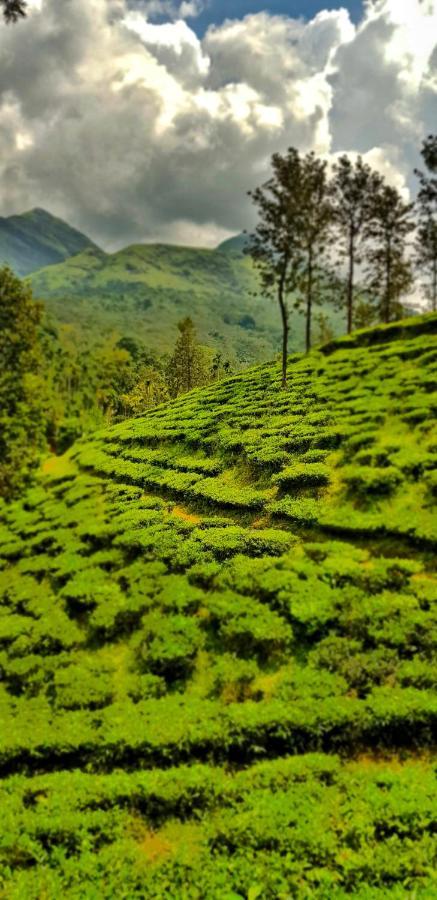 Wooden Cottages Glen Wayanad Meppādi Zewnętrze zdjęcie