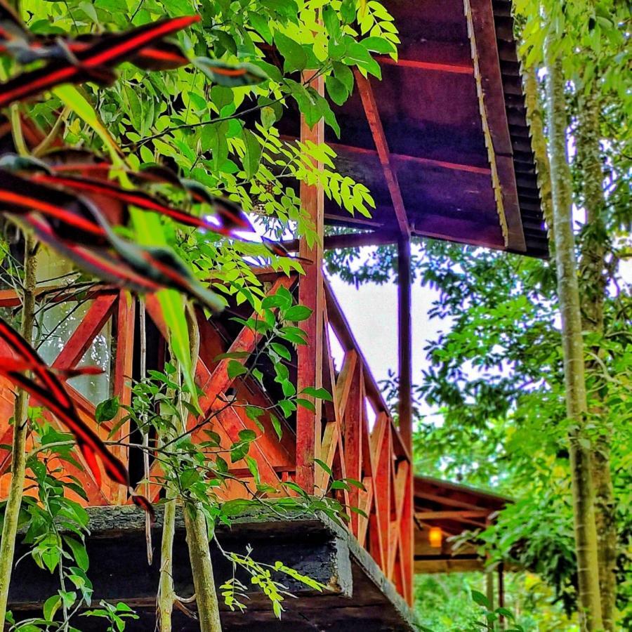 Wooden Cottages Glen Wayanad Meppādi Zewnętrze zdjęcie