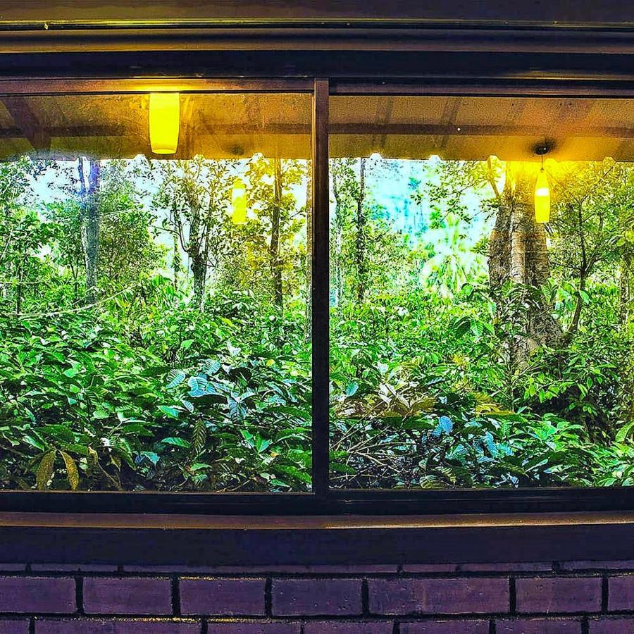 Wooden Cottages Glen Wayanad Meppādi Zewnętrze zdjęcie
