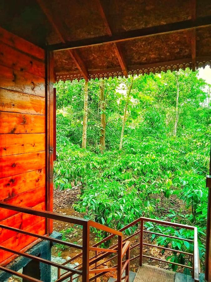 Wooden Cottages Glen Wayanad Meppādi Zewnętrze zdjęcie