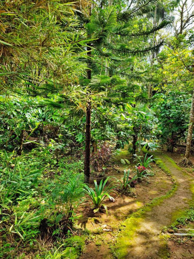 Wooden Cottages Glen Wayanad Meppādi Zewnętrze zdjęcie