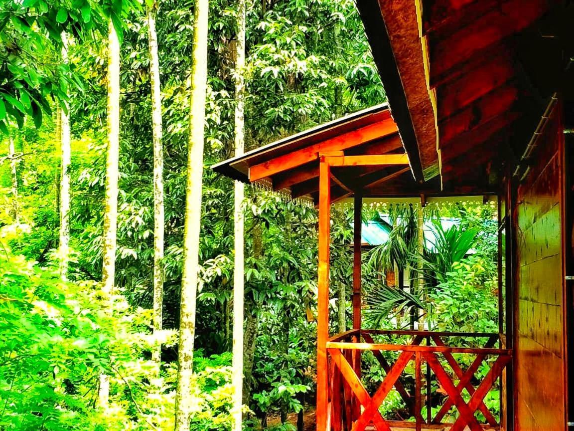 Wooden Cottages Glen Wayanad Meppādi Zewnętrze zdjęcie