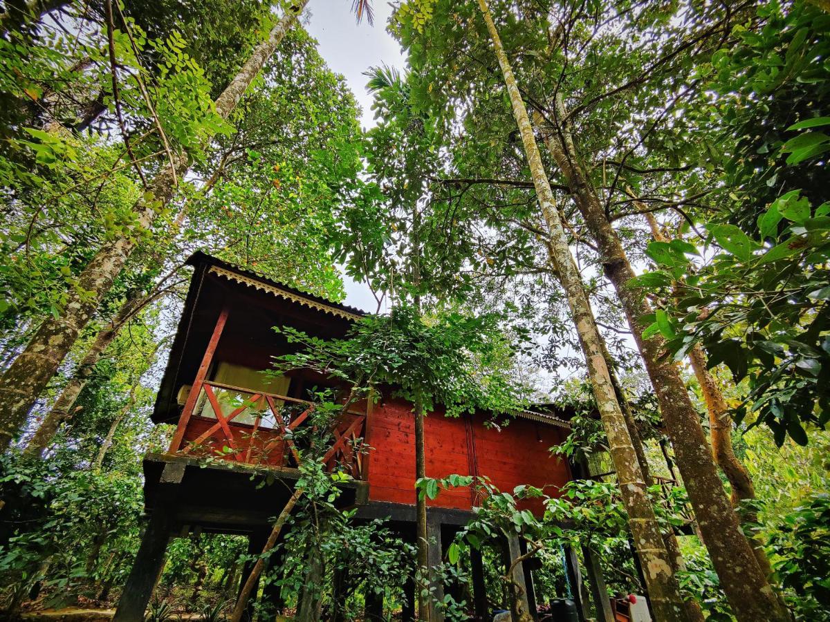 Wooden Cottages Glen Wayanad Meppādi Zewnętrze zdjęcie