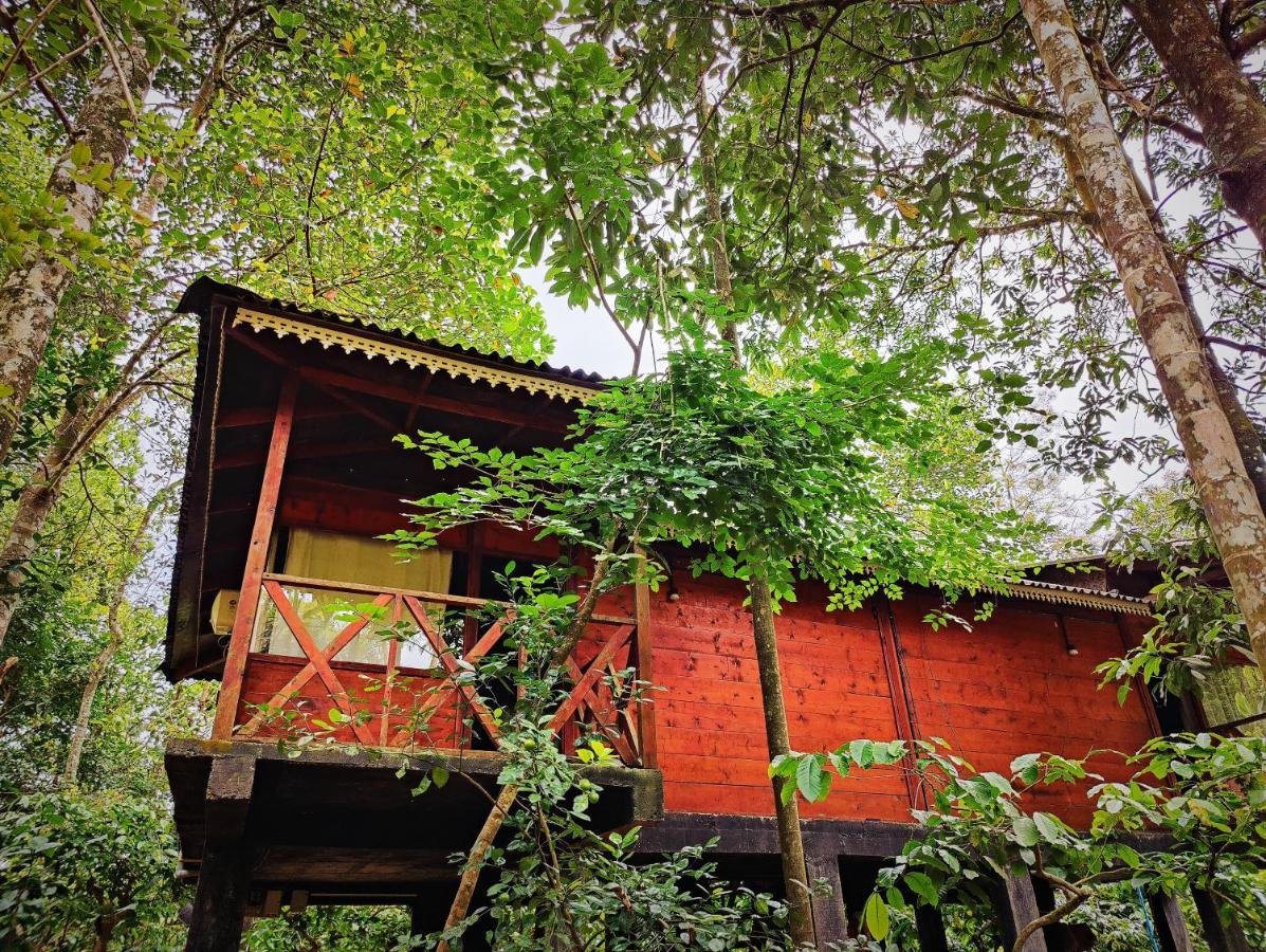 Wooden Cottages Glen Wayanad Meppādi Zewnętrze zdjęcie