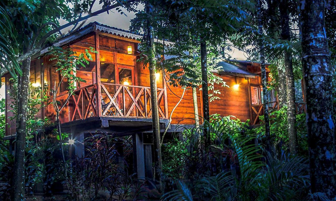 Wooden Cottages Glen Wayanad Meppādi Zewnętrze zdjęcie