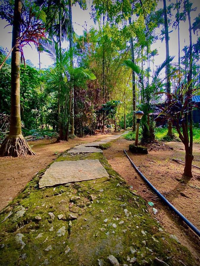 Wooden Cottages Glen Wayanad Meppādi Zewnętrze zdjęcie