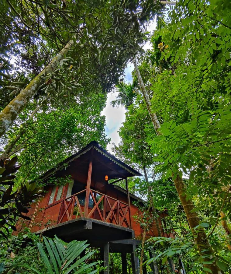 Wooden Cottages Glen Wayanad Meppādi Zewnętrze zdjęcie